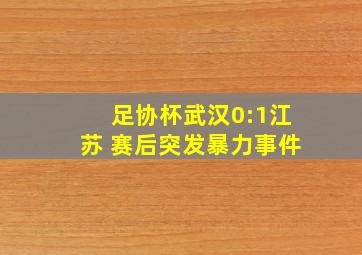 足协杯武汉0:1江苏 赛后突发暴力事件